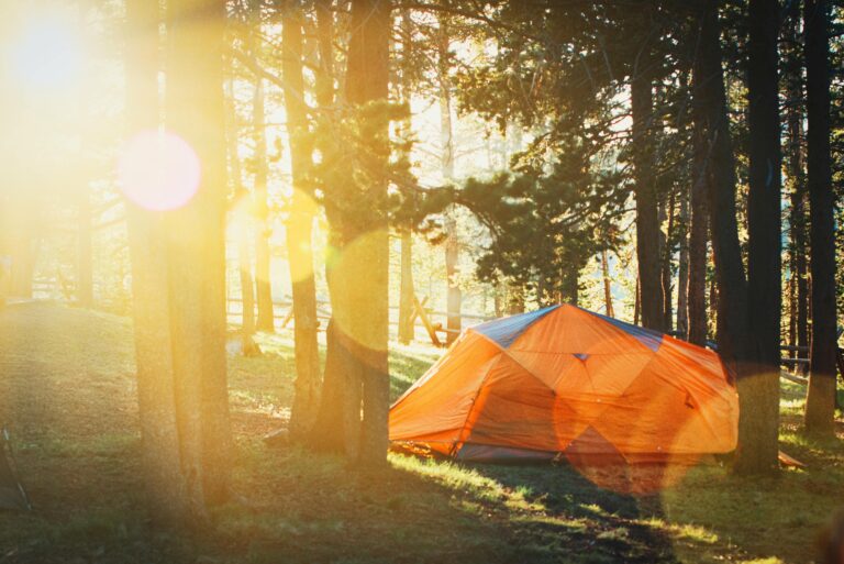 Backpacking Tent In The Forest